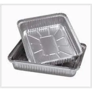  Disposable Food Tray